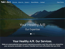 Tablet Screenshot of crm.tekcollect.com